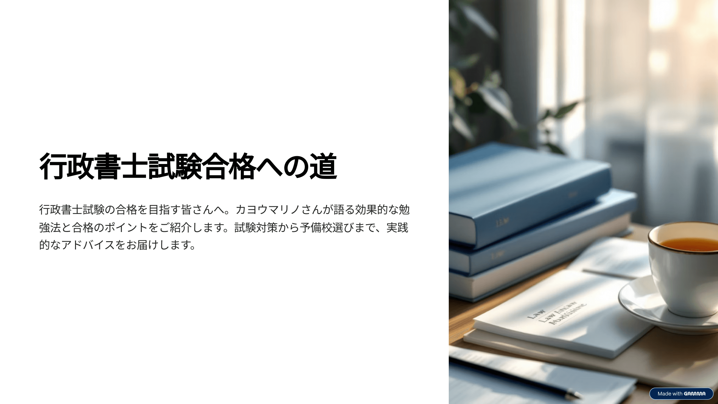 【カヨウマリノが語る】行政書士試験の勉強法と合格への道